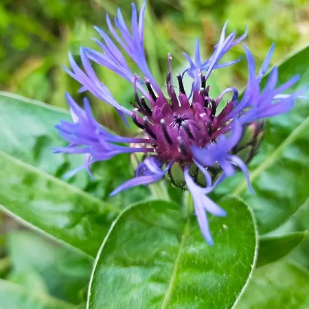 Apartamento Logis51 Ville-sur-Tourbe