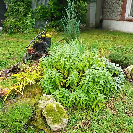 Logis51 Apartmán Ville-sur-Tourbe