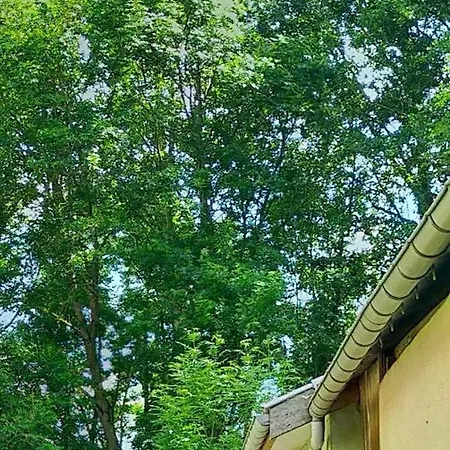 Logis51 Apartamento *