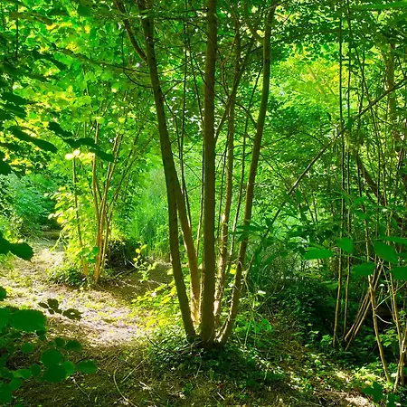 Logis51 * Ville-sur-Tourbe