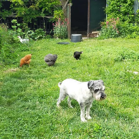 Logis51 * Ville-sur-Tourbe