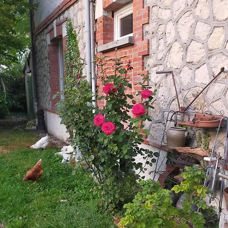 Logis51 Apartamento *