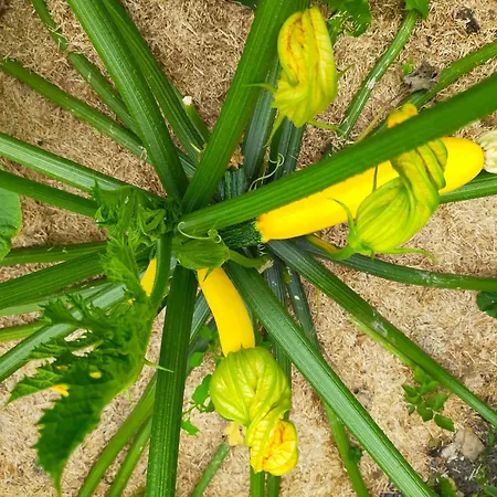 Apartamento Logis51 Ville-sur-Tourbe