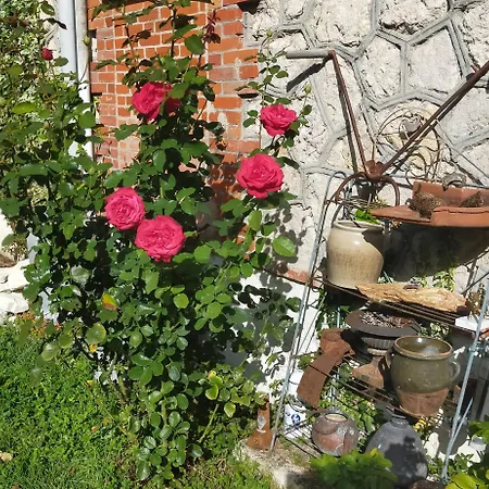 Logis51