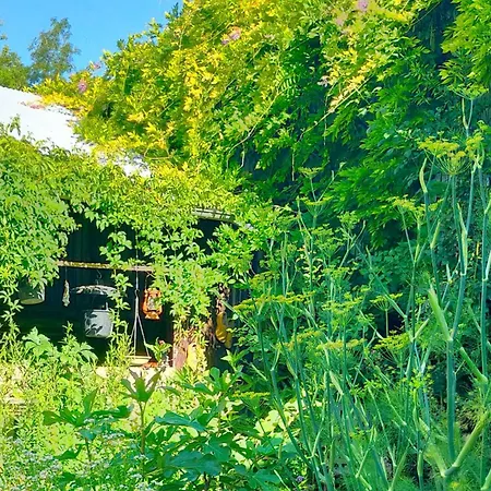 Apartamento Logis51