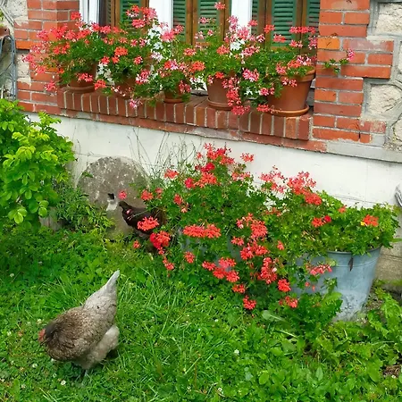 Logis51 Apartment Ville-sur-Tourbe