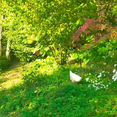 Logis51 * Ville-sur-Tourbe