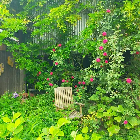 Apartamento Logis51