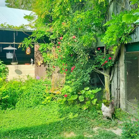 Apartamento Logis51 *