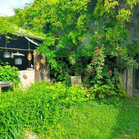 Logis51 Apartamento Ville-sur-Tourbe