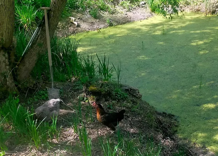 Logis51 * Ville-sur-Tourbe