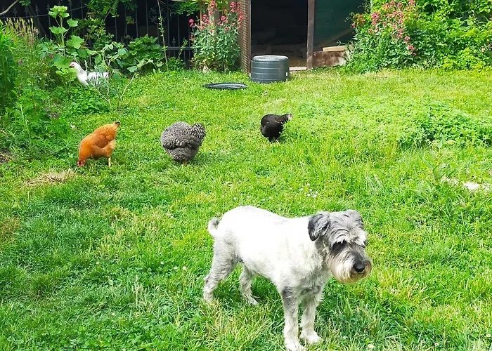 Apartment Logis51 Ville-sur-Tourbe