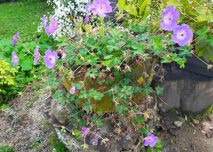 Logis51 Apartment Ville-sur-Tourbe